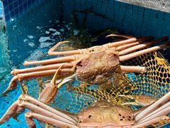 -喜棠·长沙家宴·海鲜·湘菜(麓谷店)