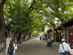 -北京国子监胡同