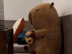 -大赏足道(全运店)