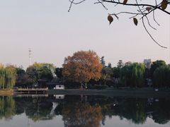 -堤角公园