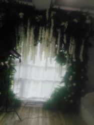 -星豆豆儿童摄影(南郊太白南路店)