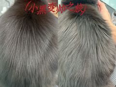 -爱洗澡的猫(望京店)