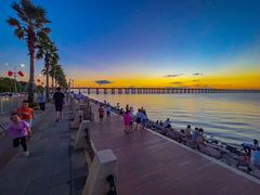 -宝安西湾红树林湿地公园