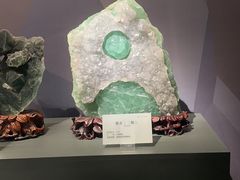 -湖南省地质博物馆