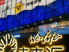 -远洋未来汇