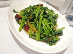 老坛酸菜炝炒红薯尖-眉州东坡(远洋未来广场店)