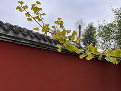 -成都杜甫草堂博物馆