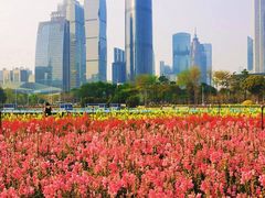 -海心沙亚运公园