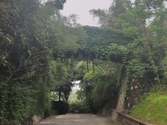 -菊花台公园