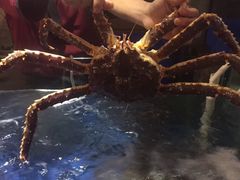 -蟹之国·精品蟹料理(极地店)