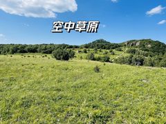 -白草畔自然风景区