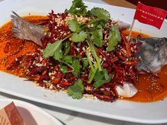 -杨氏青龙虾·羊蝎子(珠江路店)