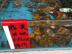 -景好海鲜餐厅(大鹏必选旅游店)