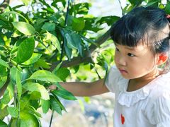 -前小桔亲子创意农场·草莓采摘·露营烧烤