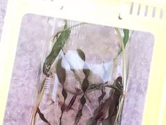 -新江湾城公园