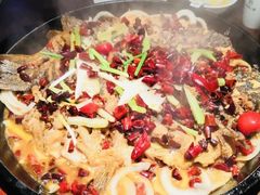 老板恋上鱼-老板恋上鱼(高新万达店)