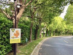 -上海佘山茂御臻品之选酒店(原佘山艾美酒店)
