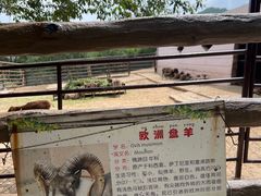 -青藏高原野生动物园