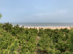 -日照海滨国家森林公园