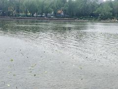 -长春市南湖公园