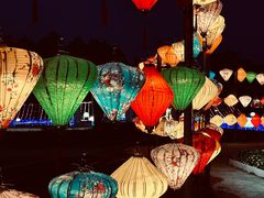 -金卉庄园