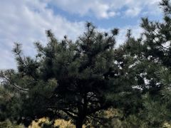 -四门塔风景区
