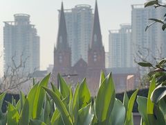 -徐家汇天主堂