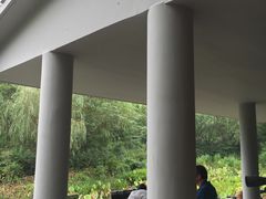 -新江湾城公园