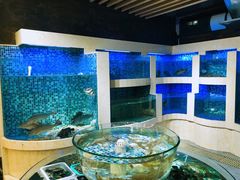 水产区-桃源尚品海鲜酒楼(京港澳高速店)
