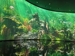 -中国湿地博物馆