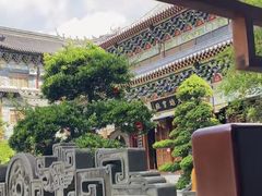 -梅子大排档