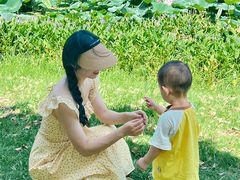 -艾溪湖湿地公园