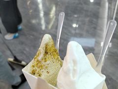 -野人先生现做冰淇淋(西安赛格店)