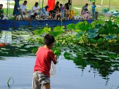 -白塘生态植物园