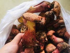 -五里多农博广场