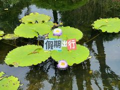 -云溪植物园