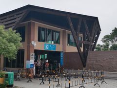 -广东惠东海龟国家级自然保护区