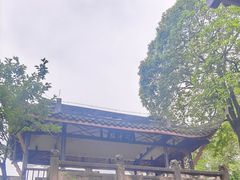 -桂湖森林公园