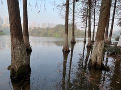 -重庆彩云湖湿地公园