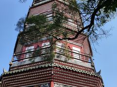 -顺峰山公园