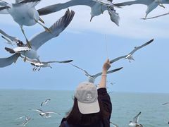 -海驴岛(荣成市)