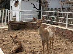 -丽泽山庄·生态怀柔菜·虹鳟鱼(红螺寺店)