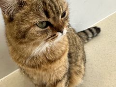 -共舞时光猫咖·狗咖(新街口店)