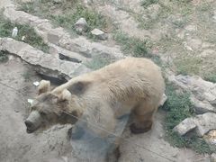 -新疆天山野生动物园