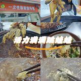 活力满满跳蛙蛙