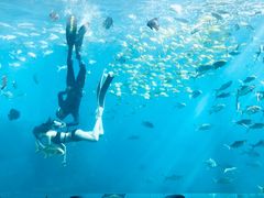 -瑞德姆美人鱼海底演艺主题餐厅(亚龙湾店)