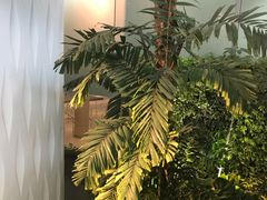 -贾特拉帕蒂·希瓦吉国际机场