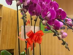-怡花宜木鲜花店(朝阳路店)