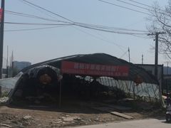 -喜杨洋草莓采摘园