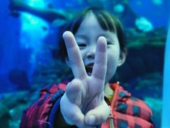-哈尔滨波塞冬海底世界